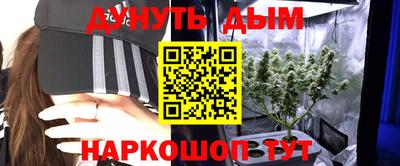 прущие грибы Севастополь